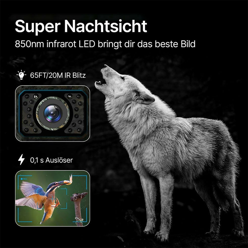 48 Megapixel Wildkamera mit exzellenter Nachtsicht