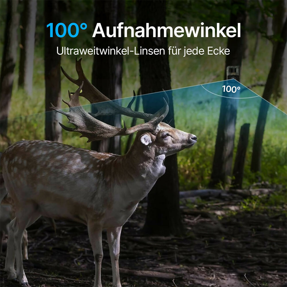 48 Megapixel Wildkamera mit exzellenter Nachtsicht