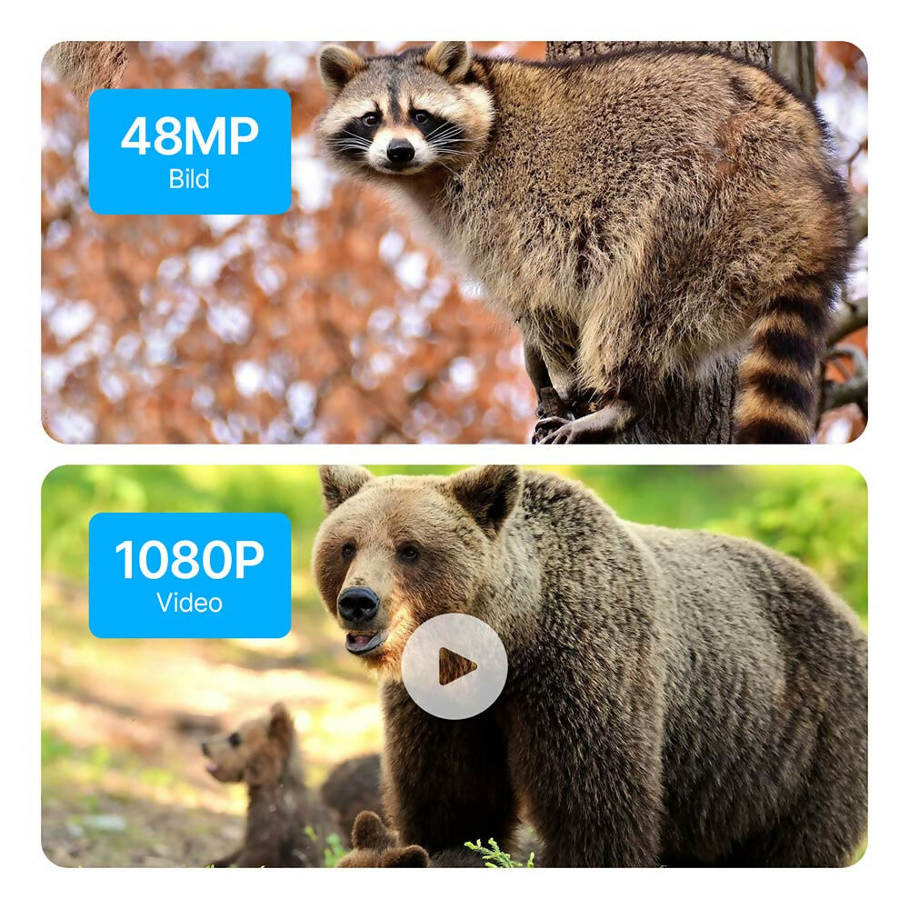 48 Megapixel Wildkamera mit exzellenter Nachtsicht
