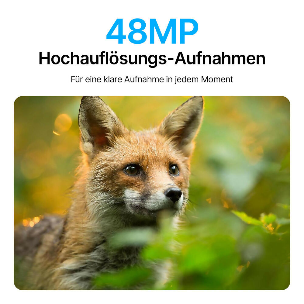 48 Megapixel Wildkamera mit exzellenter Nachtsicht